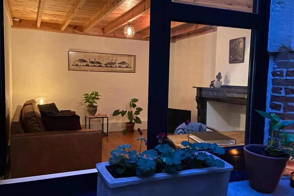 Apartament Duplex In Historical Centre With Private Courtyard Antwerpia Belgia