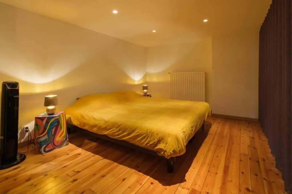 Apartament Duplex In Historical Centre With Private Courtyard Antwerpia 0*,  Belgia