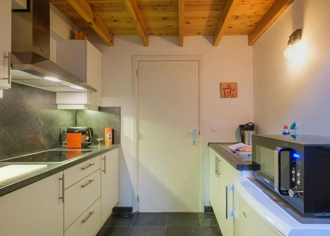 Apartament Duplex In Historical Centre With Private Courtyard Antwerpia 0*,
